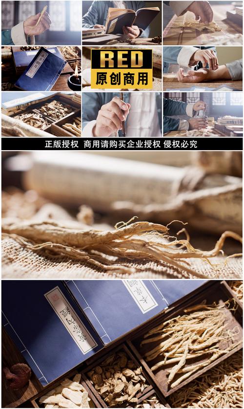 古籍中的养生智慧 从把脉开方到中成药的健康之道